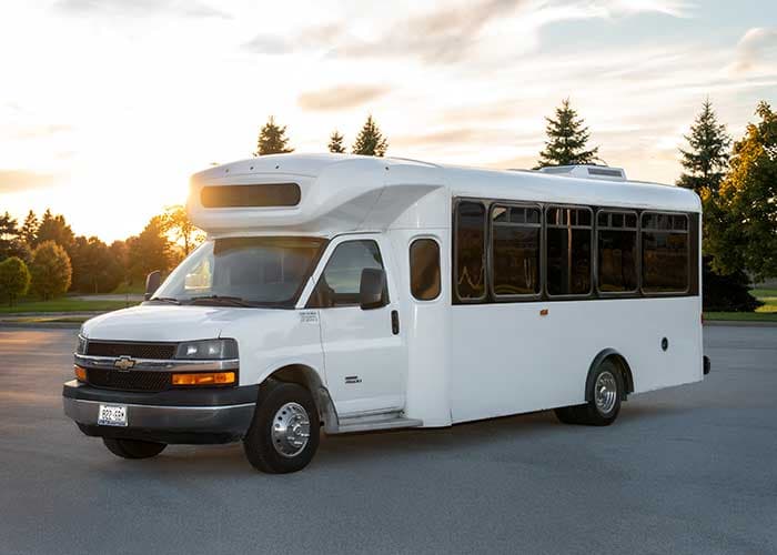 20 Passenger Party Bus luxury car rental in Georgetown, ON