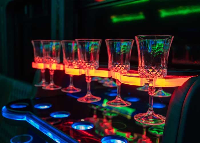 20 Passenger Party Bus gallery image 10 for limousine service in Georgetown, ON