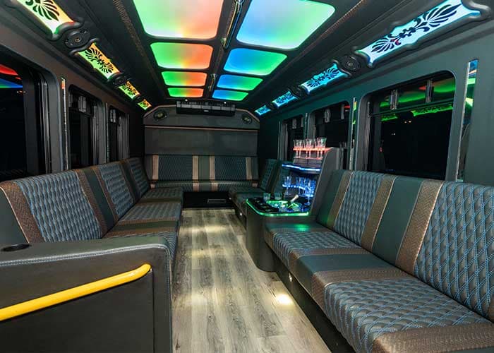 20 Passenger Party Bus gallery image 4 for limousine service in Georgetown, ON