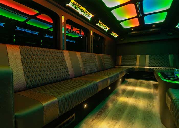 20 Passenger Party Bus gallery image 6 for limousine service in Georgetown, ON