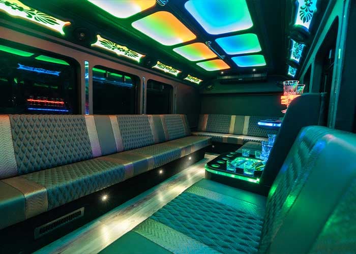 20 Passenger Party Bus gallery image 7 for limousine service in Georgetown, ON